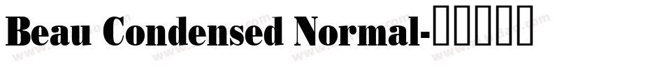 Beau Condensed Normal字体转换